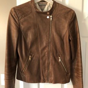 Chic brown leather biker jacket by Massimo Dutti.